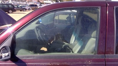 2002-2009 Trail Blazer Driver Left Front Side Window Door Glass Oem 25930347
