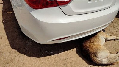 2011-13 Hyundai Sonata Rear Bumper Cover Assembly Back Shimmering White Mica Wj