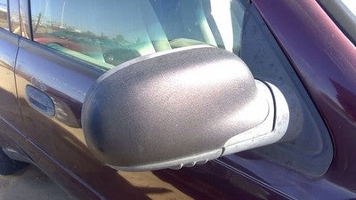 2006-2009 Trail Blazer Passenger Right Side Mirror Door Mounted Oem 15808570