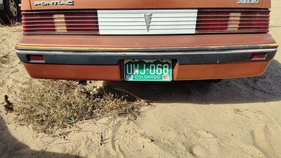 1985-1987 Pontiac Sunbird Rear Bumper Cover Assembly Oem Back Brown 10026826