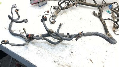 2000 Honda Passport Wiring Harness For Engine Oem