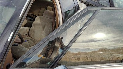 91-96 Park Ave Driver Left Front Vent Window Small Door Glass With Frame Oem