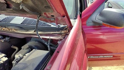 2002-09 Chevy Trail Blazer Driver Left Hood Hinge Assembly Oem Majestic Red 86U