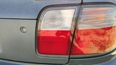 1996-1997 Honda Accord Passenger Right Inner Tail Light Oem Brake Lamp Rear