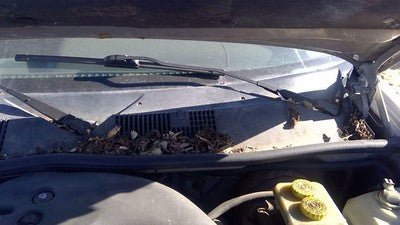 1994 Jeep Grand Cherokee Windshield Wiper Cowl Vent Trim Panel Oem Grille
