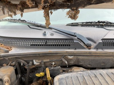 1997-2011 Dodge Dakota Passenger Right Windshield Wiper Arm Oem Blade Lever