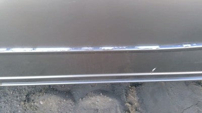 01-05 Honda Civic Passenger Right Front Moulding From Door Oem Trim Strip Silver