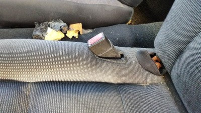 2005 Ford Crown Vic Driver Left Front Seat Belt Buckle Receiver Oem Black