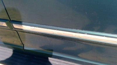 97-02 Expedition Passenger Right Front Moulding From Door Trim Strip Green Su