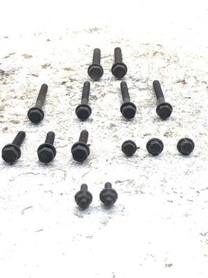 2005-2007 Dodge Caravan Set Of Bolts For Timing Cover Oem Hardware 3.3L