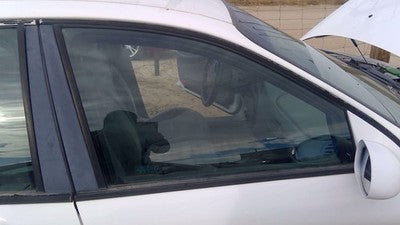 1996-2007 Ford Taurus Passenger Right Front Side Window Door Glass Oem