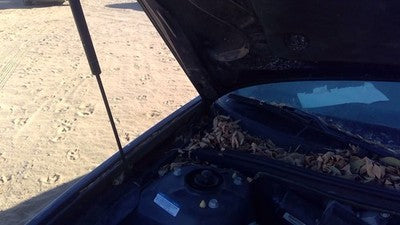 1999-2005 Buick Park Ave Passenger Right Hood Hinge Assembly Oem Blue 28U
