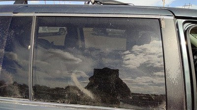 2005-2010 Honda Odyssey Passenger Right Rear Side Window Door Glass Oem Back