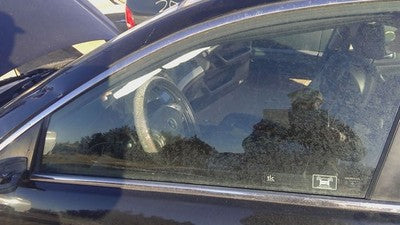 2004-2005 Acura Tsx Driver Left Front Side Window Door Glass Oem 73350Seca00