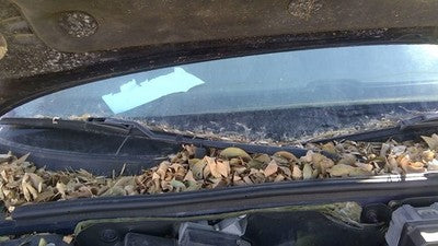 1996-1999 Buick Park Ave Passenger Right Windshield Wiper Arm Oem Blade Lever