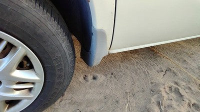 2001-2004 Grand Caravan Driver Left Moulding From Fender Oem Trim Strip