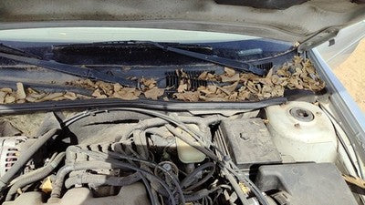 2002 Chevy Malibu Windshield Wiper Cowl Vent Trim Panel Oem Cover