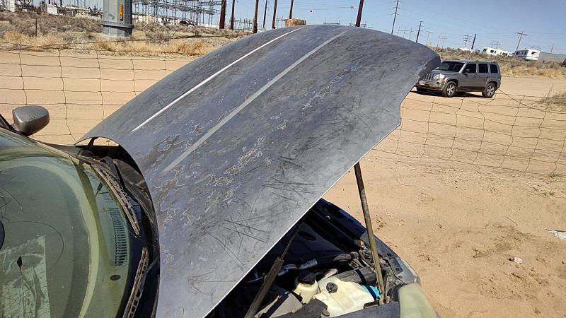 2004-2006 Nissan Maxima Hood