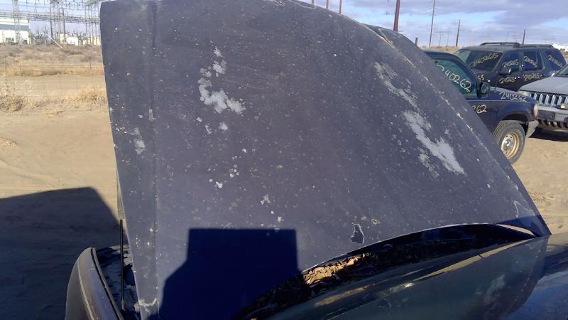 1997-2005 Buick Park Avenue (80&up) Hood