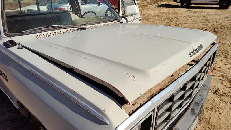 1981-1993 Dodge Pickup 350 Series Hood