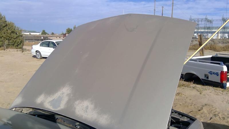 1991-1999 Oldsmobile Eighty-eight (80 & Up) Hood