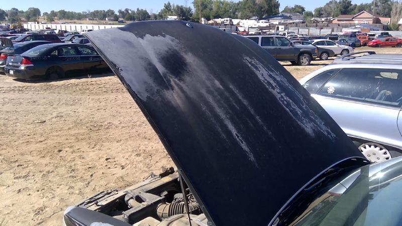 1991-1996 Buick Park Avenue (80&up) Hood