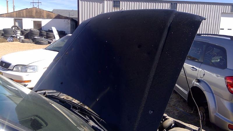 2001-2002 Subaru Forester Hood