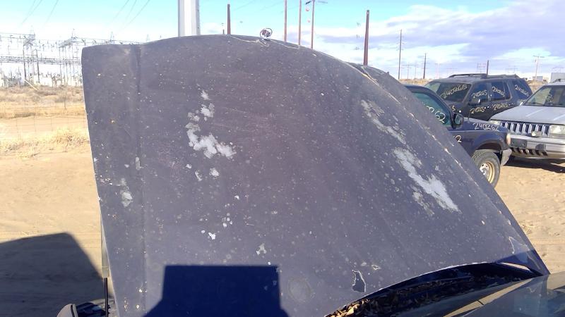 1997-2005 Buick Park Avenue (80&up) Hood