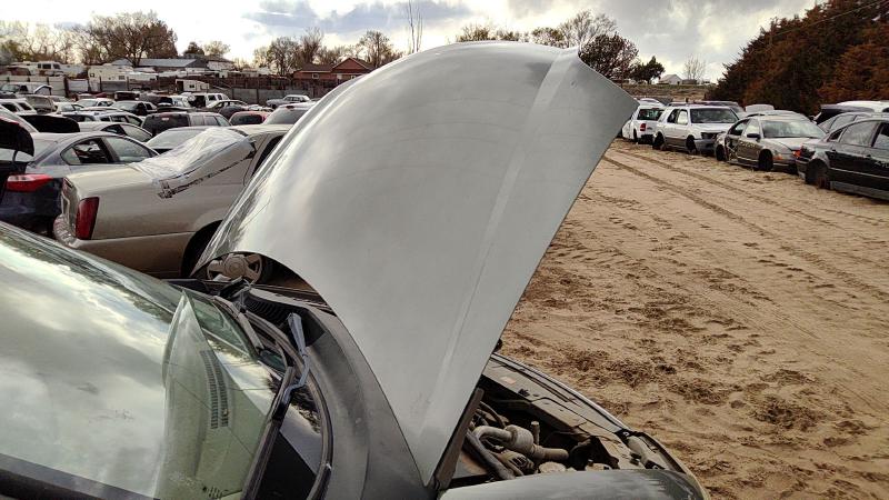 1999-2003 Ford Windstar Hood