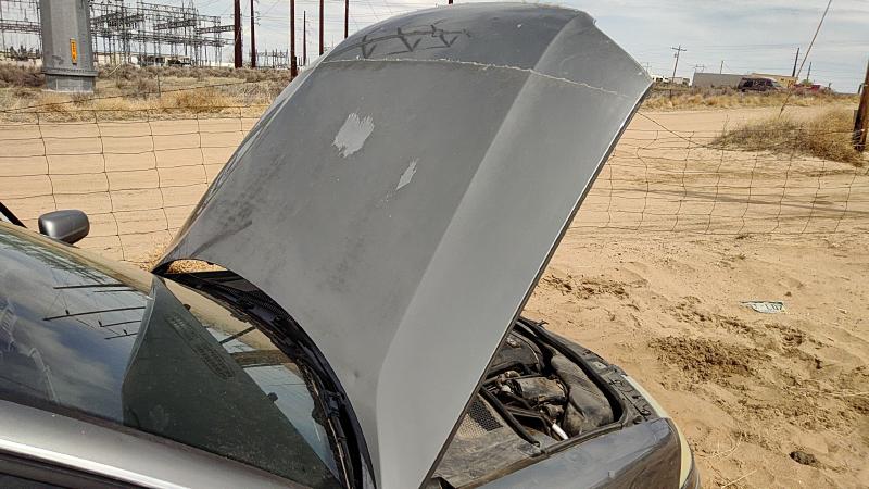 2001-2005 (discontinued) Passat Hood