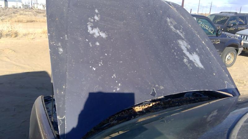 1997-2005 Buick Park Avenue (80&up) Hood