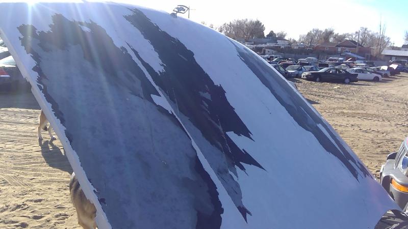 1991-1996 Chevrolet Caprice (80 & Up) Hood