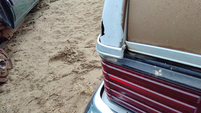 1981 Malibu Quarter Panel Moulding LH