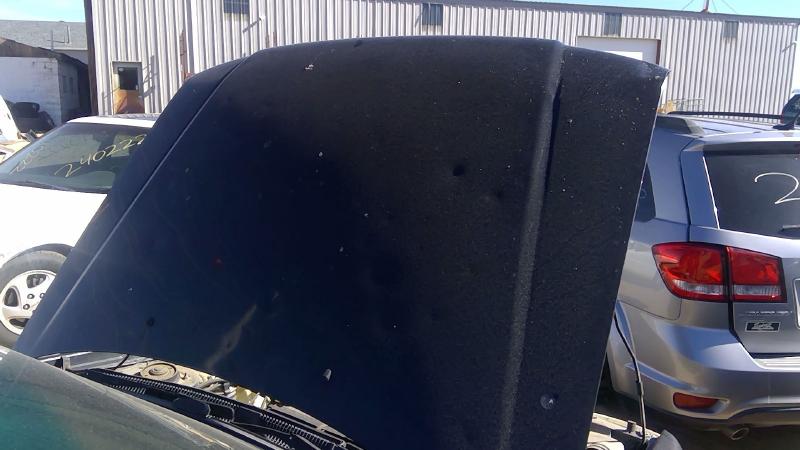 2001-2002 Subaru Forester Hood