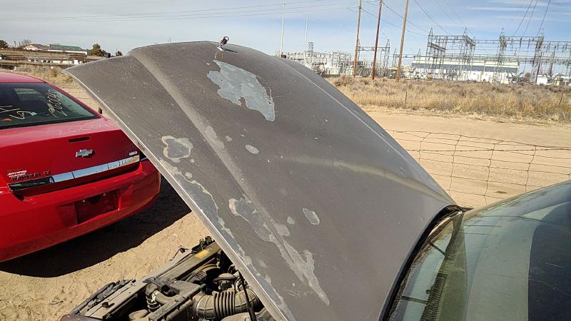 1991-1996 Buick Park Avenue (80&up) Hood