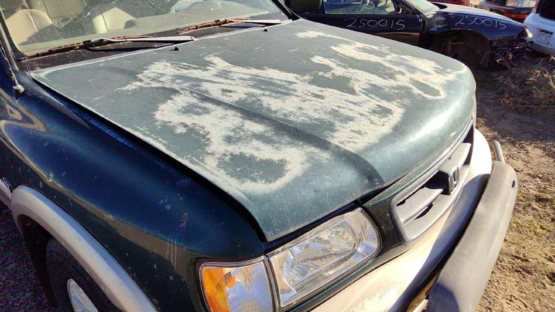 1998-2004 Honda Passport Hood