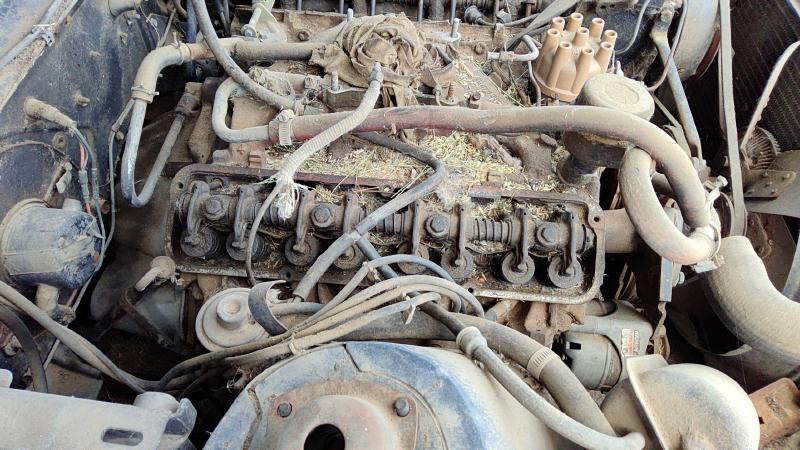 1970-2069 Thunderbird Cylinder Head