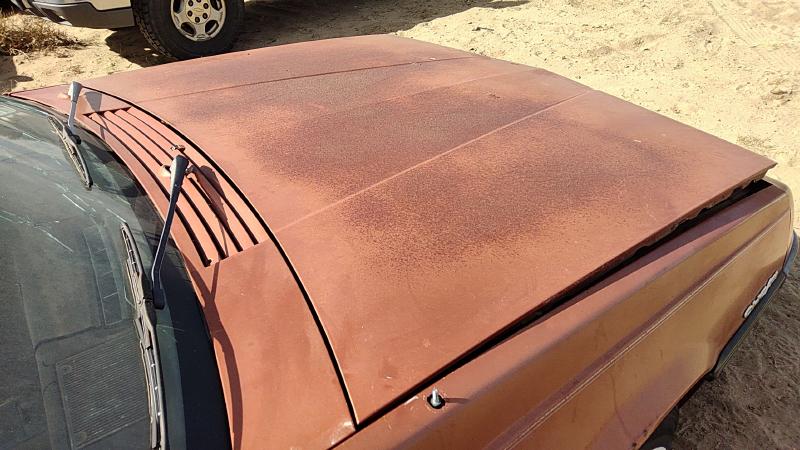 1982-1989 Pontiac Sunbird Hood