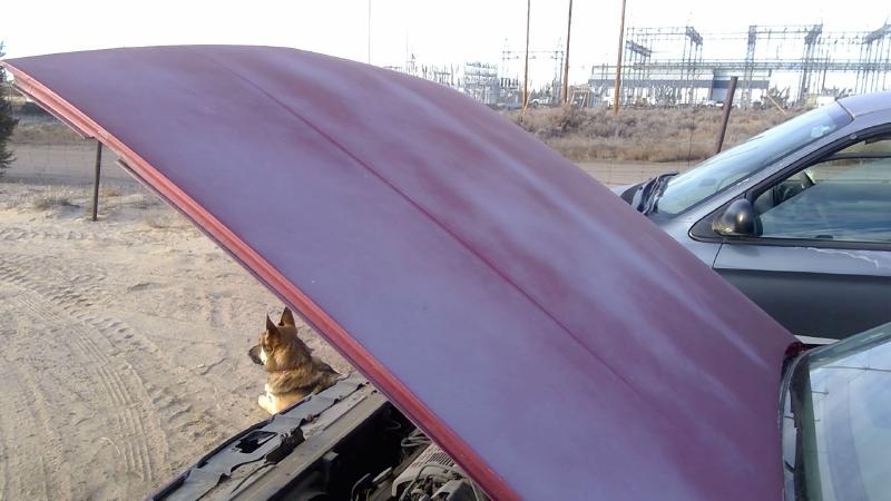 1985-1991 Oldsmobile Eighty-eight (80 & Up) Hood