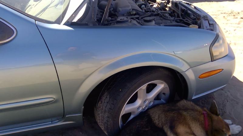 2000-2003 Nissan Maxima Fender RH
