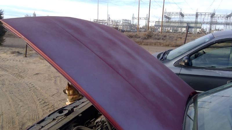 1985-1991 Oldsmobile Eighty-eight (80 & Up) Hood
