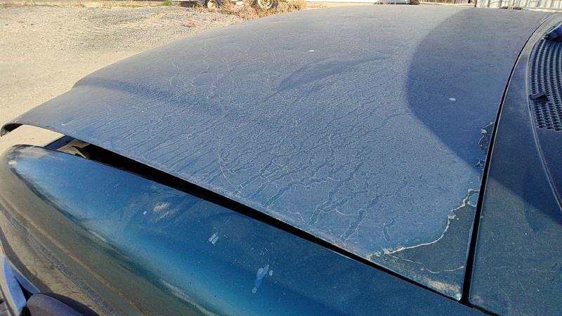 1998-2010 Ford Ranger (small Truck) Hood
