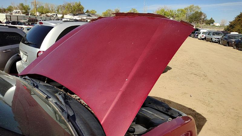 2002-2009 Chevrolet Trail Blazer (113 W.b.) Hood