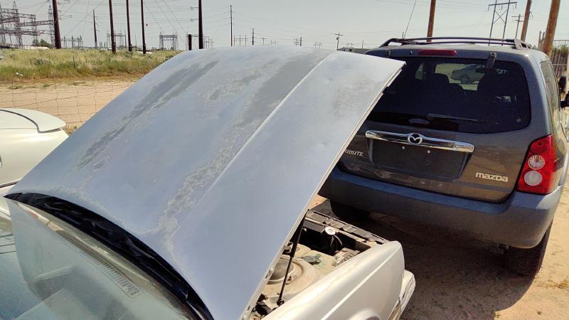 1985-1991 Oldsmobile Eighty-eight (80 & Up) Hood