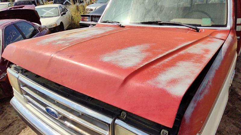 1987-1991 Ford Pickup F150 Series Hood