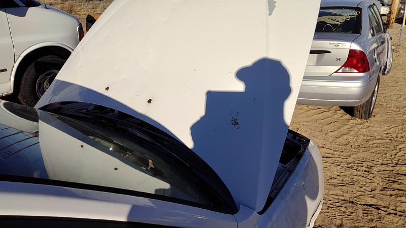 2001-2003 Hyundai Elantra Hood