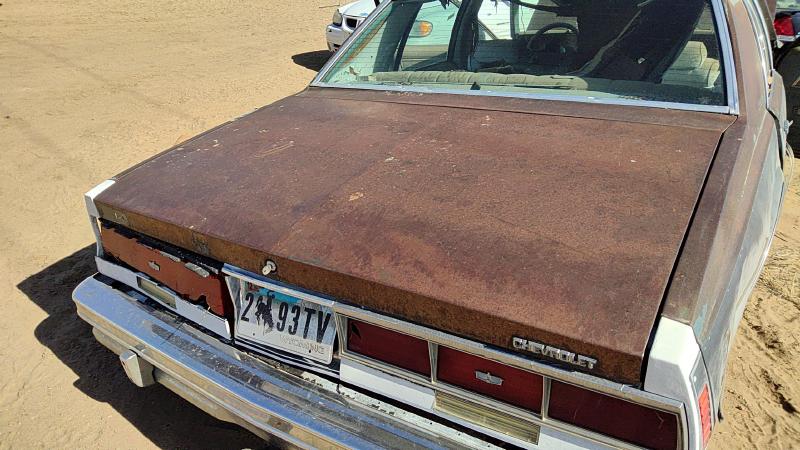 1977-1979 Chevrolet (full Size) Trunk/Decklid/Hatch/Tailgate