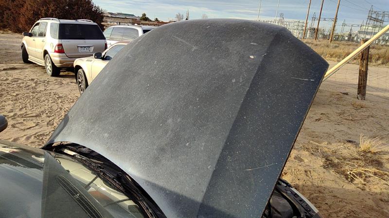 2001-2005 (discontinued) Passat Hood