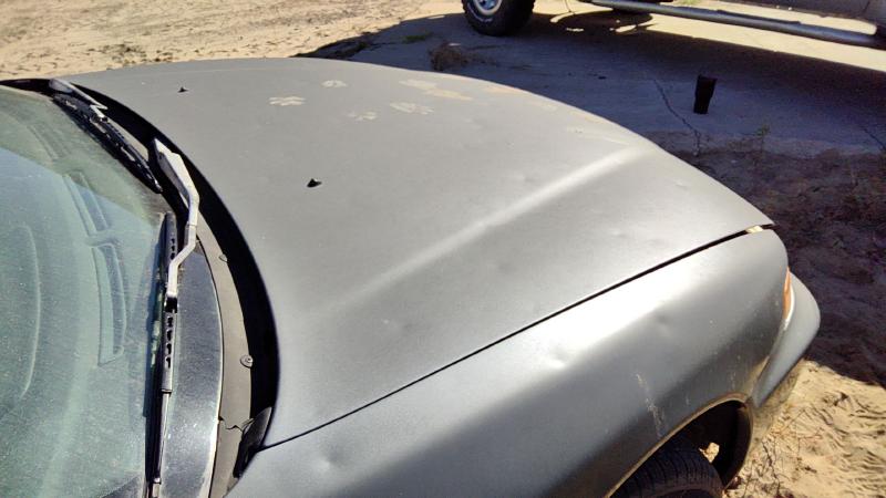 1996-1997 Honda Accord Hood