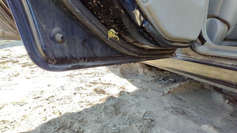 2004-2009 Kia Spectra Rear Door LH